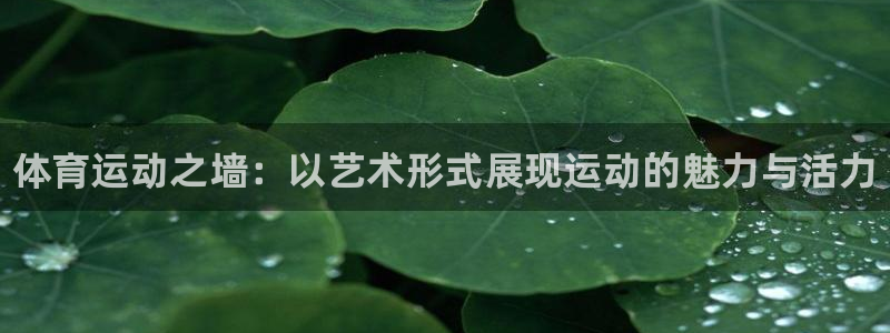 欧亿体育官方正版app集团E.ON：体育运动之墙：以艺术形式