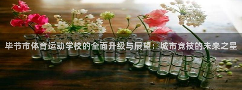 oety欧亿体育官网下载招商电话号码是多少：毕节市体育运动学