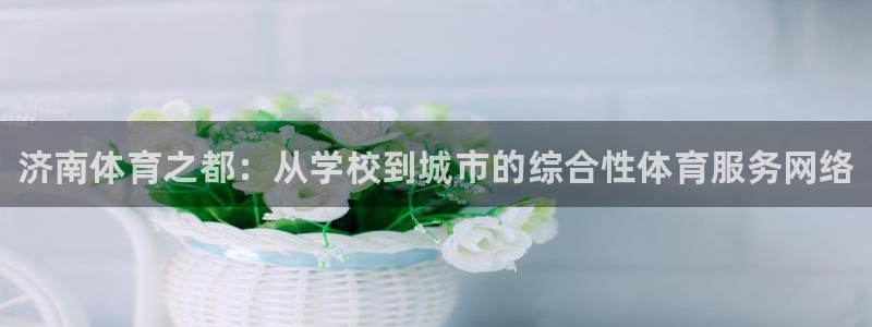 oety欧亿体育官网下载招商电话地址查询：济南体育之