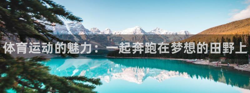 oety欧亿体育官网下载招商电话：体育运动的魅力：一起奔跑在