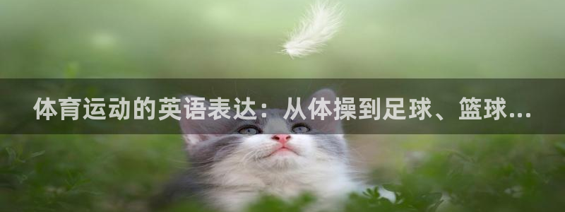 欧亿体育官方正版app娱乐代理怎么样：体育运动的英语