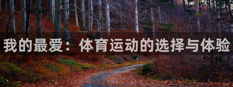 欧亿体育官方正版app官网：我的最爱：体育运动的选择