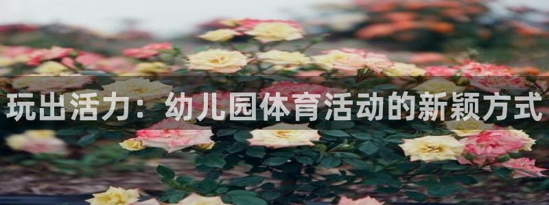 欧亿体育官方正版app代理：玩出活力：幼儿园体育活动