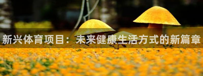 欧亿体育官方正版app官方：新兴体育项目：未来健康生