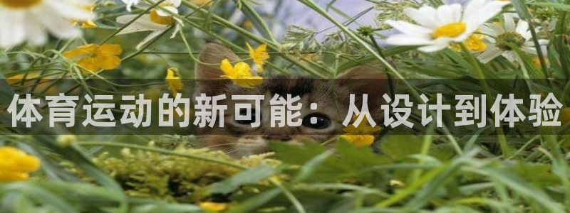 欧亿体育官方正版app代理：体育运动的新可能：从设计