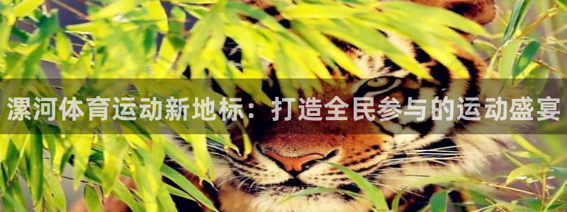 欧亿体育官方正版app集团E.ON：漯河体育运动新地