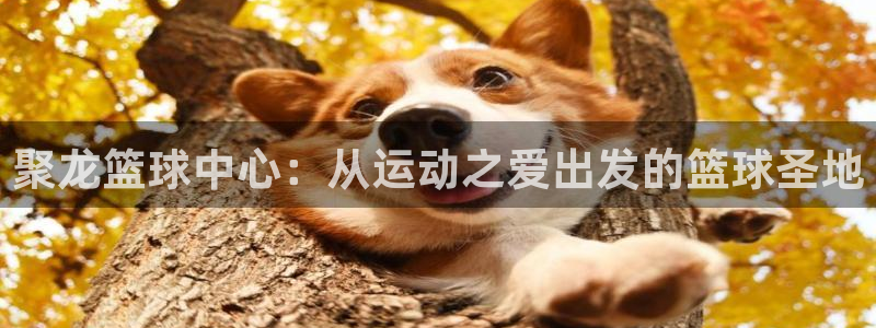 oety欧亿体育官网下载平台注册要钱吗是真的吗：聚龙