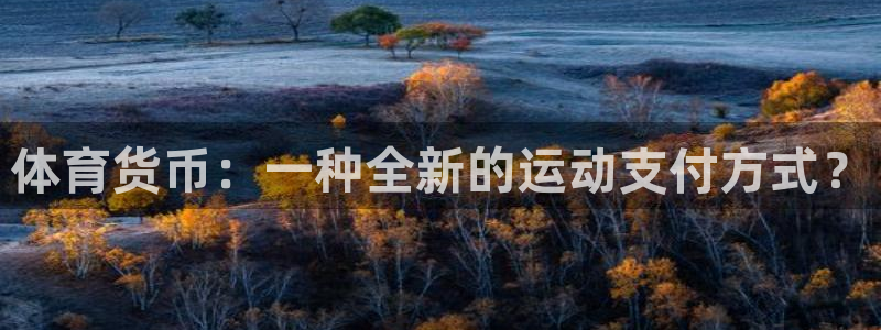 欧亿体育官方正版app娱乐下载：体育货币：一种全新的