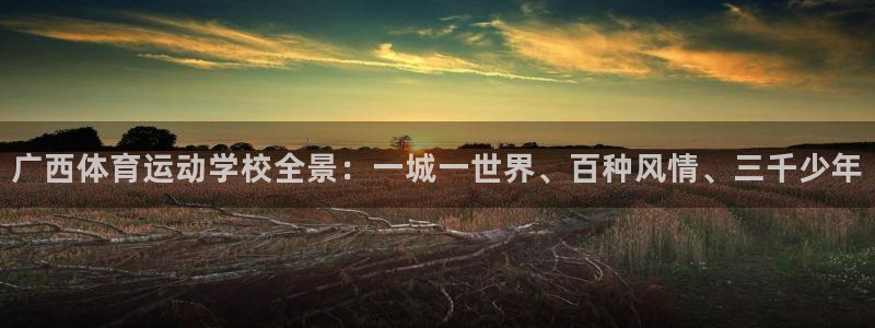 欧亿体育官方正版app官方：广西体育运动学校全景：一城一世界
