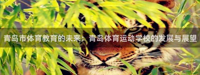 欧亿体育官方正版app集团E.ON：青岛市体育教育的