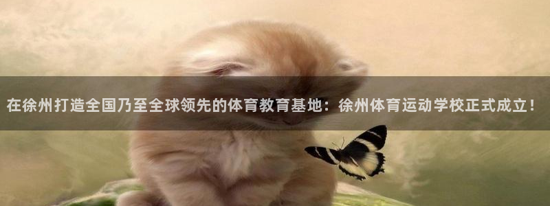 oety欧亿体育官网下载平台注册：在徐州打造全国乃至全球领先