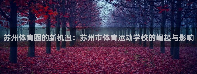oety欧亿体育官网下载是干嘛的公司：苏州体育圈的新机遇：苏