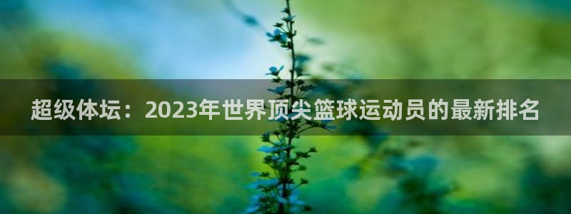 oety欧亿体育官网下载娱乐：超级体坛：2023年世界顶尖篮