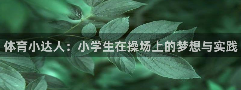 oety欧亿体育官网下载开户：体育小达人：小学生在操场上的梦