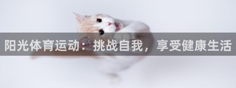 欧亿体育官方正版app集团E.ON：阳光体育运动：挑战自我，