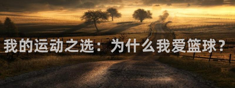 欧亿体育官方正版app娱乐平台：我的运动之选：为什么我爱篮球