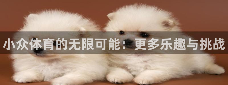欧亿平台app下载安装最新版本更新内容：小众体育的无限可能：