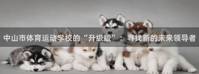  欧亿3网站：中山市体育运动学校的“升级版”：寻找新的未来领导