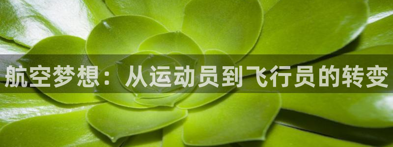 oe欧亿登陆：航空梦想：从运动员到飞行员的转变